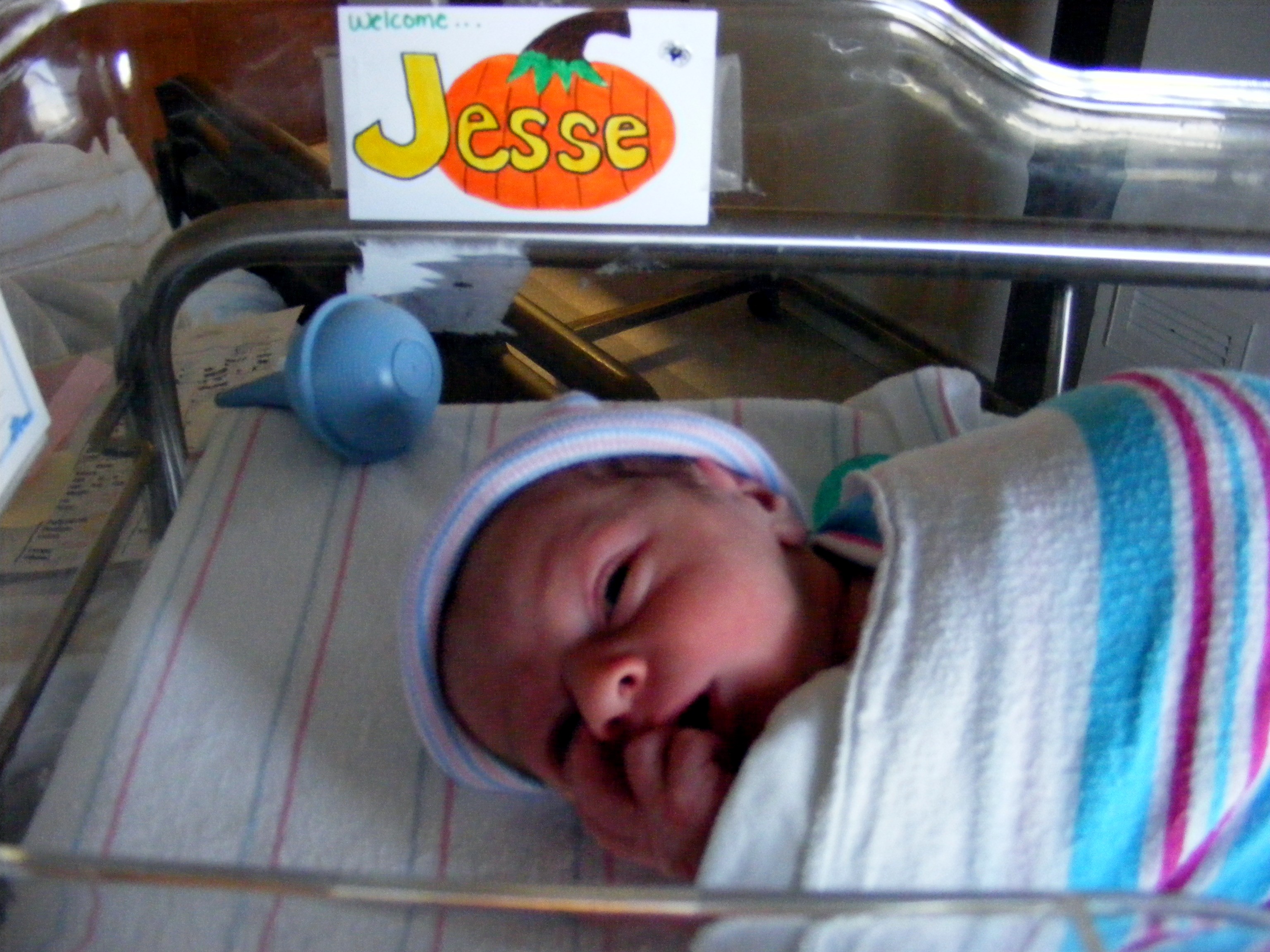 dscf7082.jpg