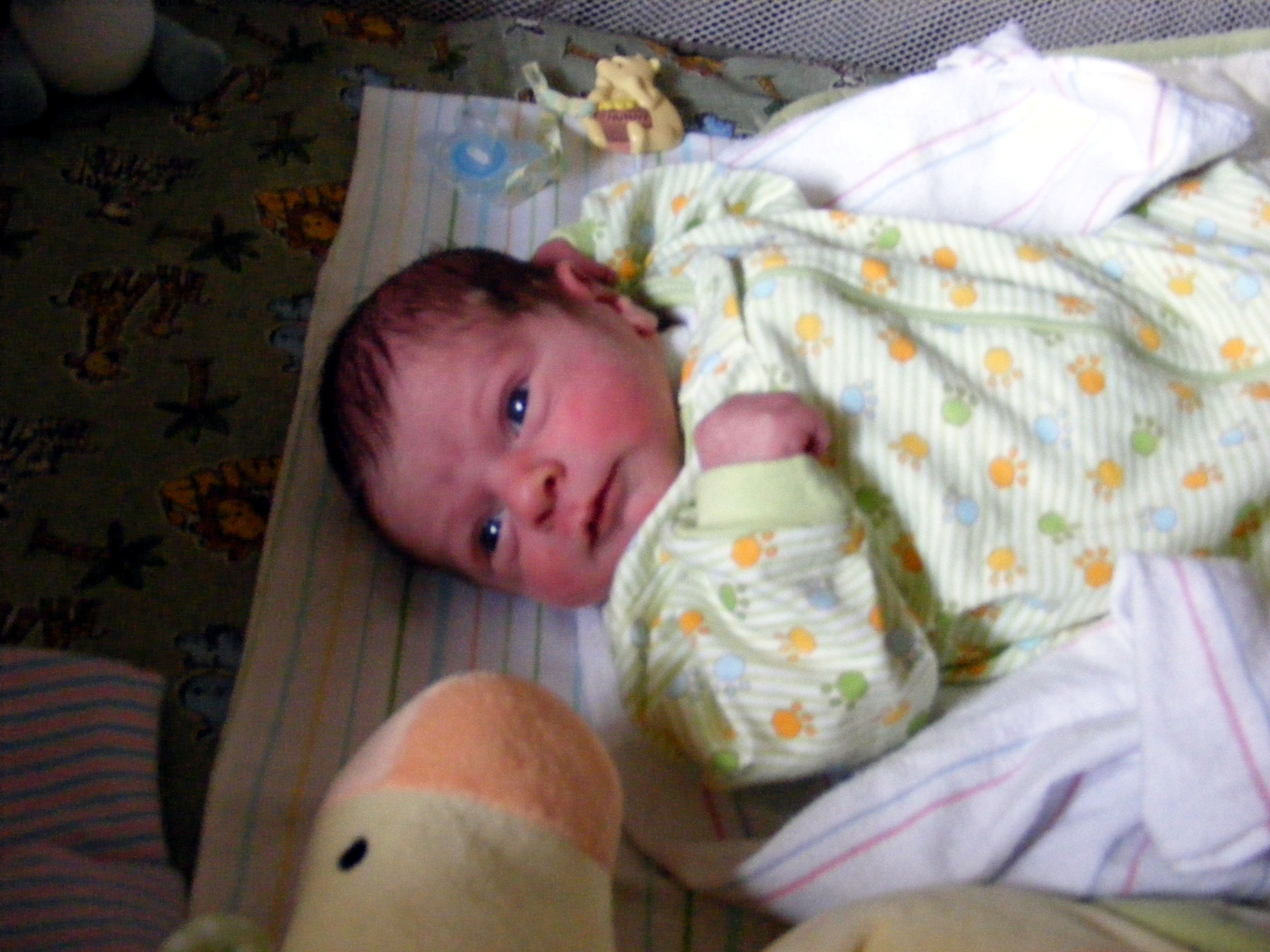 dscf7097.jpg