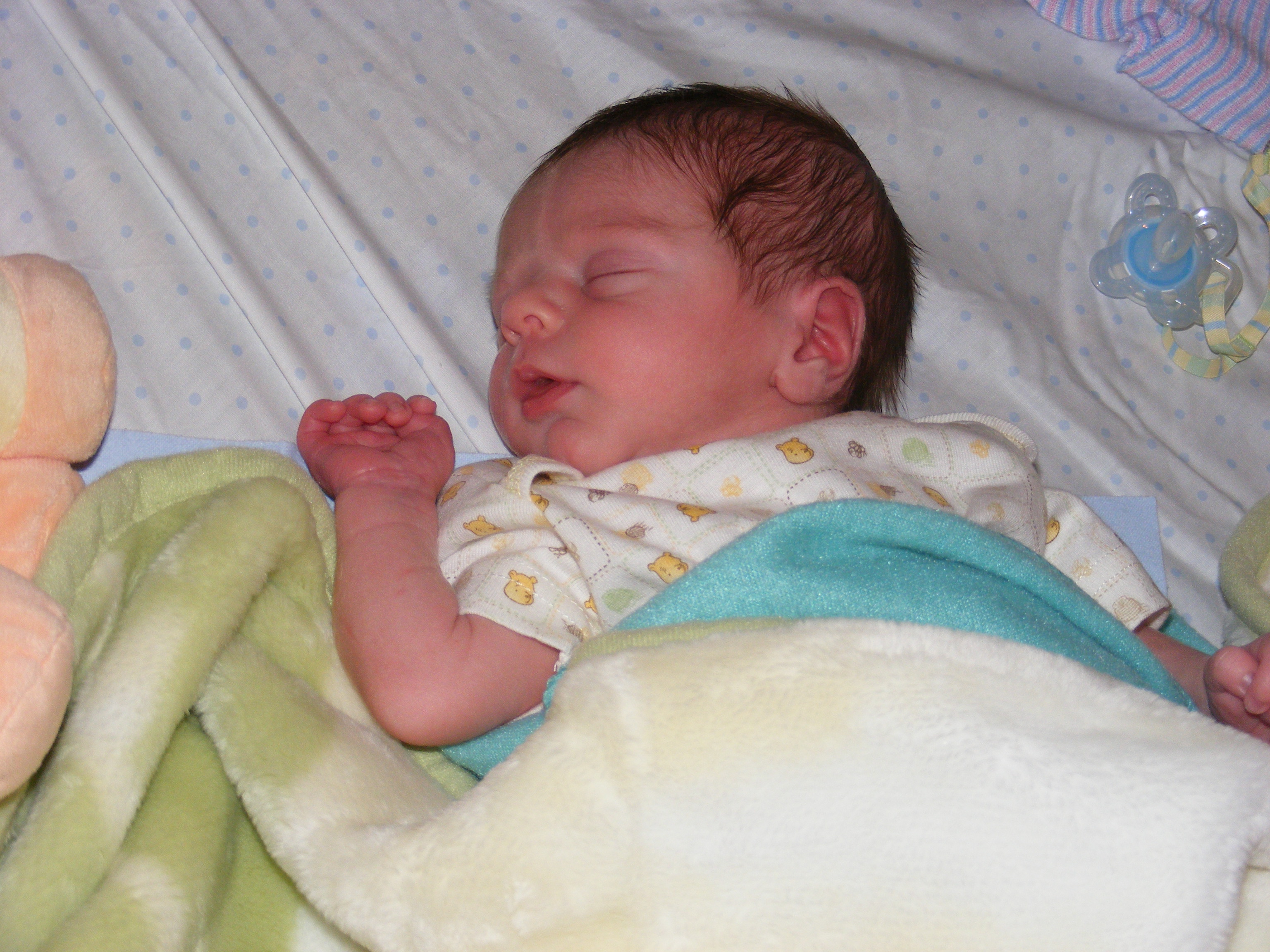 dscf7116.jpg