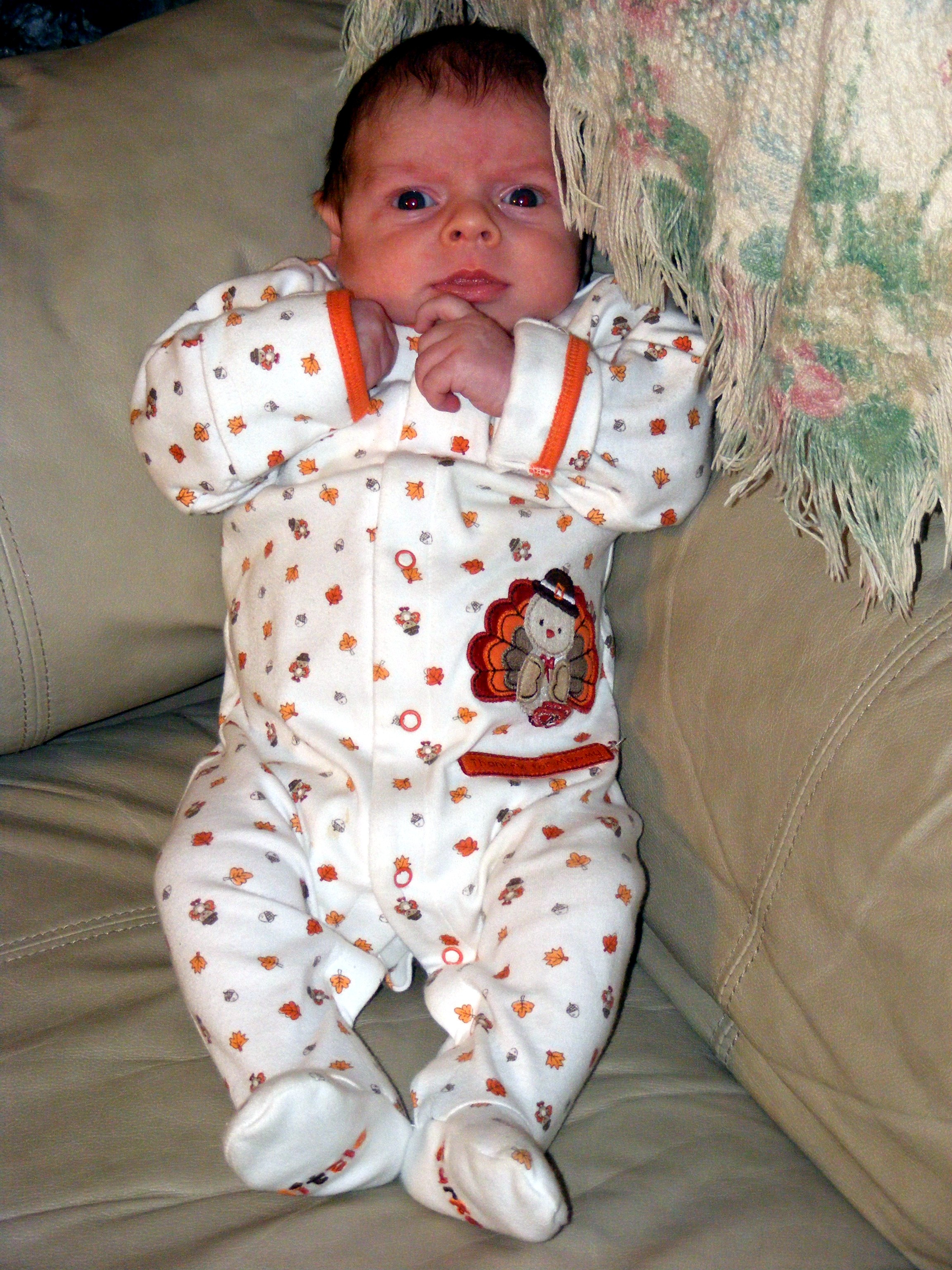 dscf7351.jpg